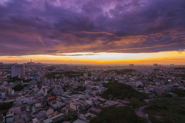 Quels sont les meilleurs spots pour observer les phoques en Écosse?