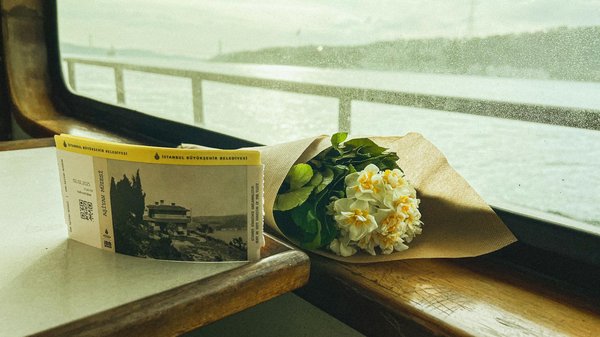 Comment organiser une visite des forts et palais du Rajasthan, Inde?