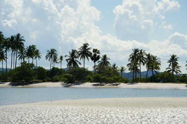 Comment organiser une visite des temples anciens de Luang Prabang au Laos?