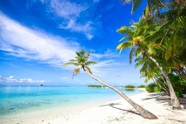 Quels sont les conseils pour camper en région de steppe en automne avec observation des oiseaux ?